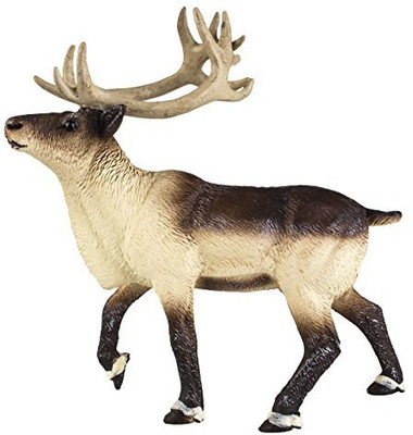 Safari Ltd Wild North American Wildlife Reindeer(Multicolor)
Safari Ltd Wild North American Wildlife Reindeer(Multicolor)