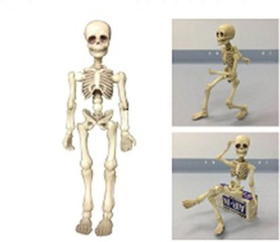 Re-Ment Pose Skeleton Man (1)(Multicolor)