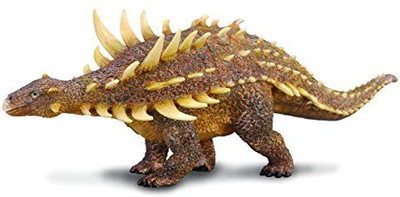 Collecta polacanthus(Multicolor)