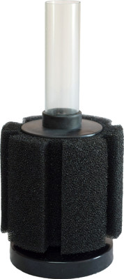 Paw Zone Undergravel Aquarium Filter(Biological Filtration for Salt Water and Fresh Water)
Paw Zone Undergravel Aquarium Filter(Biological Filtration for Salt Water and Fresh Water)