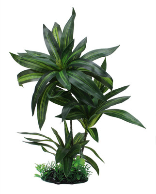 Jainsons Pet Products Fish Tank Decorative Items Laterite Planted Substrate(Green)
Jainsons Pet Products Fish Tank Decorative Items Laterite Planted Substrate(Green)