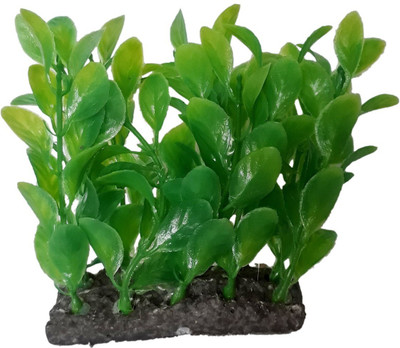 SRI Fish Aquarium Decorative Green Artificial Plastic Plant Laterite Planted Substrate(Green)
SRI Fish Aquarium Decorative Green Artificial Plastic Plant Laterite Planted Substrate(Green)