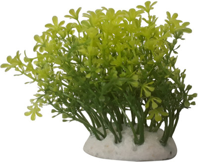 SRI Fish Aquarium Decorative Artificial Plastic Plant Laterite Planted Substrate(Green)
SRI Fish Aquarium Decorative Artificial Plastic Plant Laterite Planted Substrate(Green)