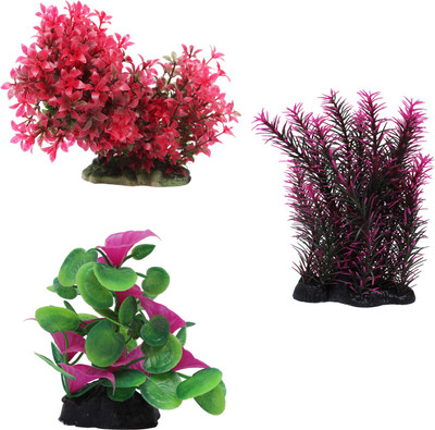 Jainsons Pet Products Combo aquarium decoration items Laterite Planted Substrate(Multicolor)
Jainsons Pet Products Combo aquarium decoration items Laterite Planted Substrate(Multicolor)