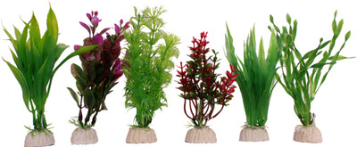 Jainsons Laterite Planted Substrate(Multicolor)