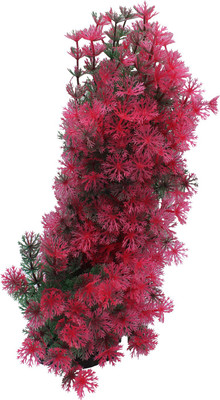 Jainsons Pet Products Fish Tank Decorative Items Laterite Planted Substrate(Multicolor)
Jainsons Pet Products Fish Tank Decorative Items Laterite Planted Substrate(Multicolor)