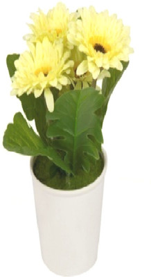 Flowers Forever Yellow Gerbera Artificial Flower with Pot(Pack of 1)