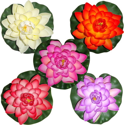 Muhil Floating Lotus Large Multicolor Assorted Artificial Flower(7 inch, Pack of 5)
Muhil Floating Lotus Large Multicolor Assorted Artificial Flower(7 inch, Pack of 5)