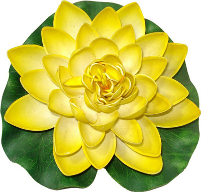 Fusion Gallery Floating Lotus Multicolor Assorted Artificial Flower(7 inch, Pack of 1)
Fusion Gallery Floating Lotus Multicolor Assorted Artificial Flower(7 inch, Pack of 1)
