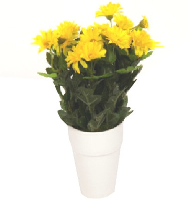 Flowers Forever 7 Heads Mini Mum Yellow Assorted Artificial Flower with Pot(Pack of 1)
Flowers Forever 7 Heads Mini Mum Yellow Assorted Artificial Flower with Pot(Pack of 1)