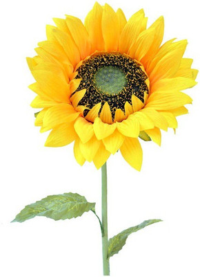 Amiya Garden Yellow Sunflower Artificial Flower(34 inch, Pack of 1)