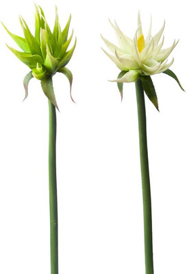 Kusal KSFL 138YRWG Multicolor Assorted Artificial Flower(33 inch, Pack of 1)
Kusal KSFL 138YRWG Multicolor Assorted Artificial Flower(33 inch, Pack of 1)
