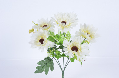 Kusal Gerbera Bush 6Head White Sunflower Artificial Flower(13 inch, Pack of 1)
Kusal Gerbera Bush 6Head White Sunflower Artificial Flower(13 inch, Pack of 1)