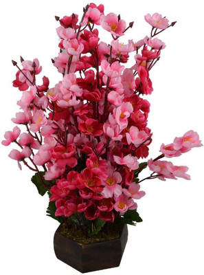 Kaykon Beautiful Wooden Red and White Flower Pot Multicolor Orchids Artificial Flower with Pot(19 inch, Pack of 1)
Kaykon Beautiful Wooden Red and White Flower Pot Multicolor Orchids Artificial Flower with Pot(19 inch, Pack of 1)