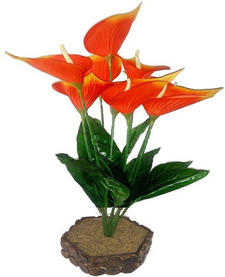 Kaykon Anthurium Flower Pot Orange, Green Wild Flower Artificial Flower with Pot(17 inch, Pack of 1)
Kaykon Anthurium Flower Pot Orange, Green Wild Flower Artificial Flower with Pot(17 inch, Pack of 1)