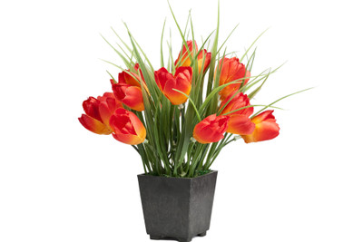 Home Decor Baby Tulip Arrangement Mini Orange Tulips Artificial Flower with Pot(7 inch, Pack of 2)
Home Decor Baby Tulip Arrangement Mini Orange Tulips Artificial Flower with Pot(7 inch, Pack of 2)