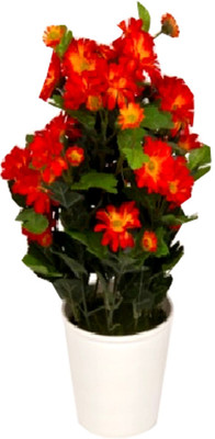 Flowers Forever 15 Heads Mini Mum Multicolor Assorted Artificial Flower with Pot(Pack of 1)
Flowers Forever 15 Heads Mini Mum Multicolor Assorted Artificial Flower with Pot(Pack of 1)