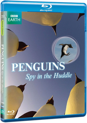 Penguins : Spy in the Huddle Complete(Blu-ray English)