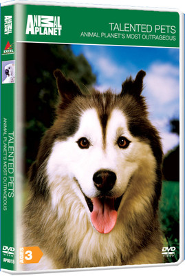 Talented Pets (Animals Planet's Most Outrageous) Complete(DVD English)