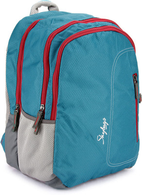 Skybags Neon-02 Backpack(Grey, Blue)
