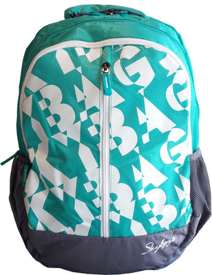 Skybags Pogo 04 Green 25 L Backpack(Green)