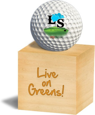 ezyPRNT "LS" Golf Ball(Pack of 1, White)