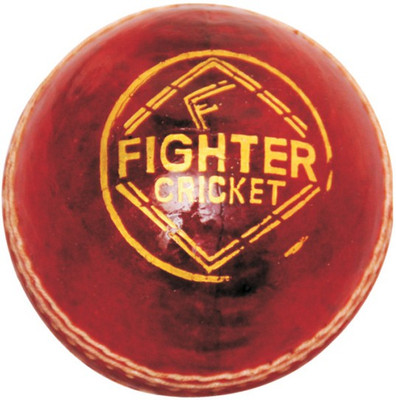 BSM FIGHTER Cricket Leather Ball(Pack of 4, Red)