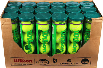 Wilson Starter Play Tennis Ball(Pack of 72, Green)