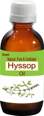 Bangota Hyssop Oil - Natural, Pure & Undiluted -50 ml(50 ml)