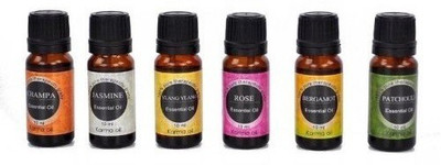 Karmakara Set of 6, 100% Pure Therapeutic Essential Oils Jasmine Ylang Ylang Bergamot Champa Rose Patchouli 10ml(10 ml)
Karmakara Set of 6, 100% Pure Therapeutic Essential Oils Jasmine Ylang Ylang Bergamot Champa Rose Patchouli 10ml(10 ml)