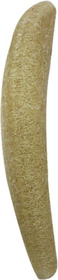 DCS Ridge Gourd Loofah Sponge