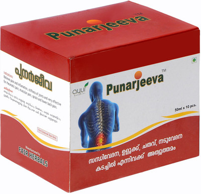 Punarjeeva Ayurvedic Pain Relief Oil(500 ml)