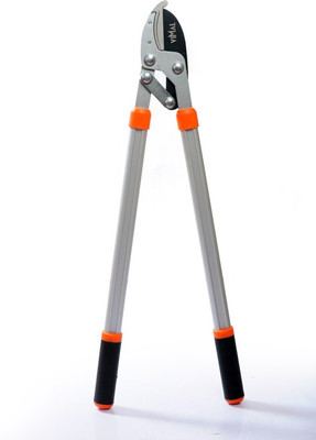Vimal vimal003 Bonsai Cutter