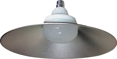 HD 40 W Standard B22 LED Bulb(White)