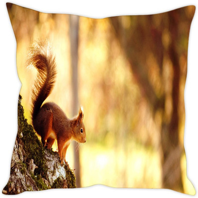Sleep Nature's Abstract Cushions Cover(Pack of 5, 30.64 cm*30.64 cm, Multicolor)
Sleep Nature's Abstract Cushions Cover(Pack of 5, 30.64 cm*30.64 cm, Multicolor)