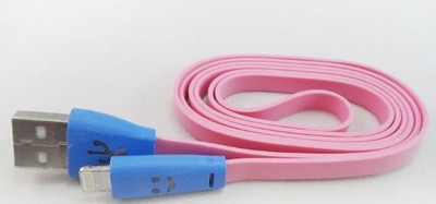 Pashion PA1832 Lightning Cable(Black)