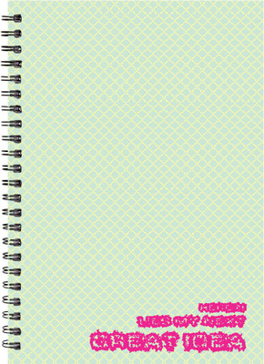 Paper Plane Design A5 Notebook(Paper Plane Design, Multicolor)
