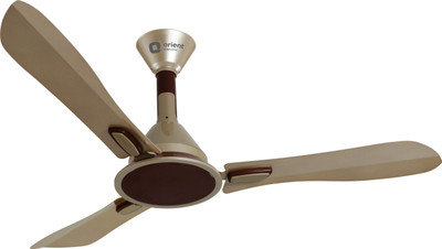 Orient Electric Areta 3 Blade Ceiling Fan(Golden Beige and Coffee, Pack of 1), Gold
Orient Electric Areta 3 Blade Ceiling Fan(Golden Beige and Coffee, Pack of 1), Gold