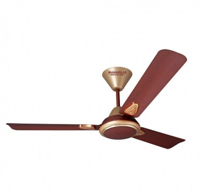 Maharaja Whiteline Opal 3 Blade Ceiling Fan(Brown)