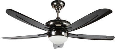 Standard Ananta 5 Blade Ceiling Fan(Grey, Pack of 1)