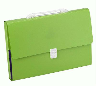 Shrih Plastic Expanding Document Case(Set Of 1, Green)
