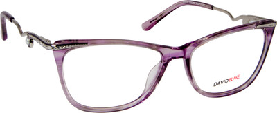 David Blake Full Rim Wayfarer Frame(52 mm