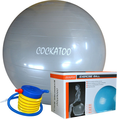 COCKATOO Ball-65 Gym Ball(With Pump), Silver;white