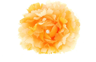 Anuradha Art Stylish Hair Clip(Yellow)