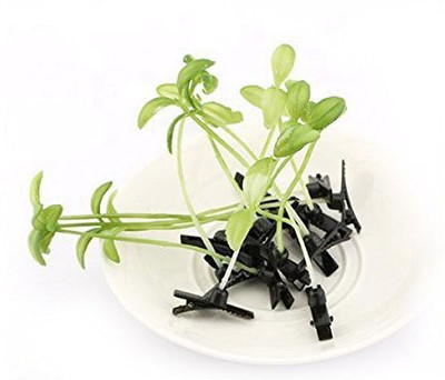 Tinksky Tinksky Women Girls Bean Sprout Hair Clip Hairpin Headwear Hair Accessories -10pcs (Green) Hair Clip(Green)
Tinksky Tinksky Women Girls Bean Sprout Hair Clip Hairpin Headwear Hair Accessories -10pcs (Green) Hair Clip(Green)