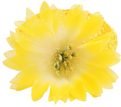 NeedyBee Yellow Soft Lace Crochet Knitting Flower for Baby Girls Head Band(Yellow)
NeedyBee Yellow Soft Lace Crochet Knitting Flower for Baby Girls Head Band(Yellow)