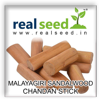 Real Seed Pure White Sandalwood Stick (Malyagiri) Best Superior Quality 1 Piece 85-100 Grams
Real Seed Pure White Sandalwood Stick (Malyagiri) Best Superior Quality 1 Piece 85-100 Grams