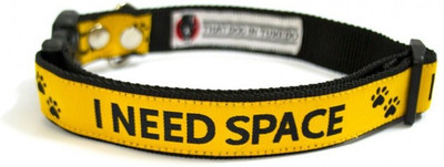 That Dog in Tuxedo "I Need Space" - L-XL Dog Everyday Collar(, Yellow, Black, Black;yellow
That Dog in Tuxedo "I Need Space" - L-XL Dog Everyday Collar(, Yellow, Black, Black;yellow