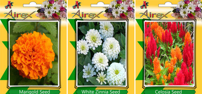 Airex Marigold, White Zinnia, and Celosia Seed(25 per packet)