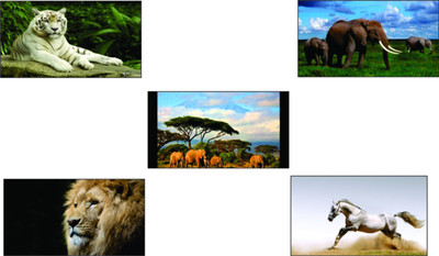 Set of Posters ,Original Decorative Beautiful Nature Poster (Pack of 5) Paper Print(26 inch X 14 inch, Rolled)
Set of Posters ,Original Decorative Beautiful Nature Poster (Pack of 5) Paper Print(26 inch X 14 inch, Rolled)